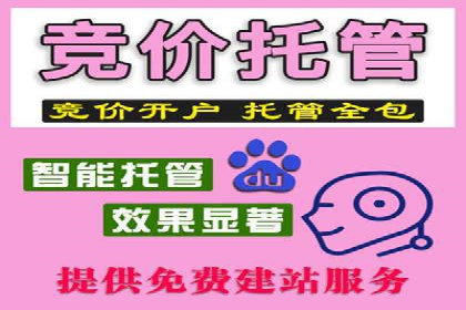 Sem优化公司成功案例：快速占领市场